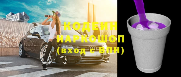 шишки Дмитриев
