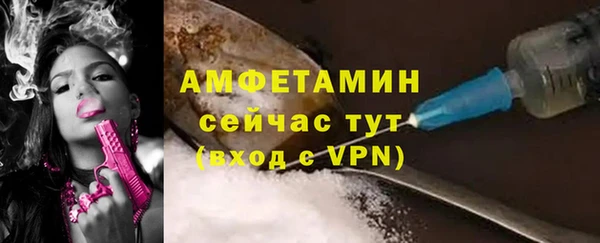 шишки Дмитриев