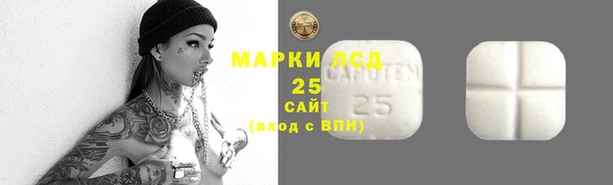 шишки Дмитриев