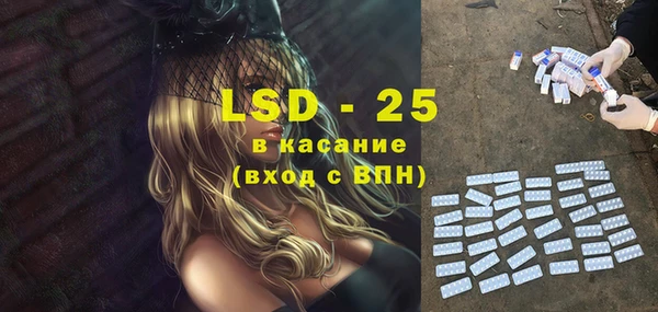 шишки Дмитриев
